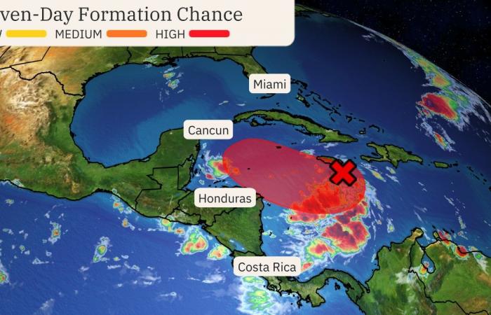 È probabile che la tempesta tropicale Sara si formi nei Caraibi