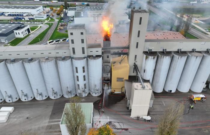 Violento incendio nei silos di girasoli a Beaune, l’edificio rischia di crollare