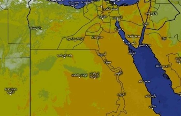 Allerta meteorologica urgente: fitta nebbia ricopre queste zone