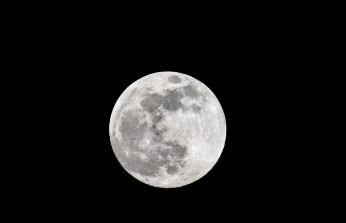 Super Beaver Moon 2024: cosa devi sapere su questa luna piena di novembre