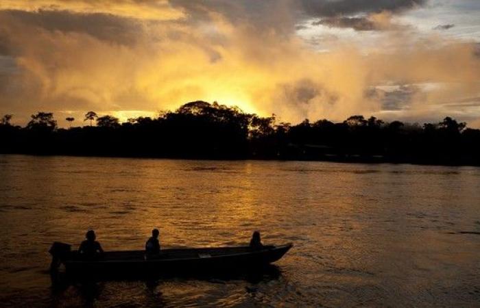 Siccità in Guyana: allerta acqua potabile e attuazione misure di emergenza – LINFO.re