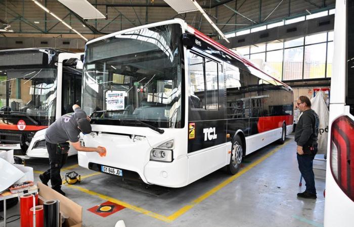 un biglietto unico per il Rodano e la metropoli di Lione