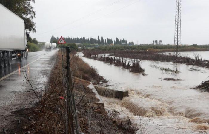 Piani di emergenza locali attivati ​​in 81 comuni di Malaga, Granada e Almería a causa delle forti piogge