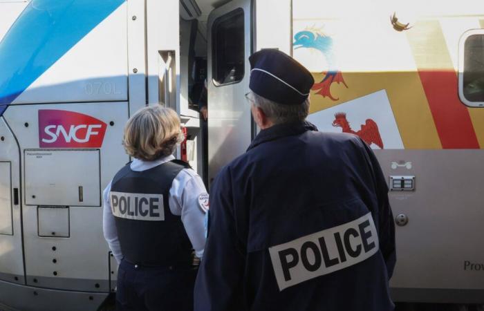 Arrestato un uomo sul treno a Tolone con l'accusa di altri omicidi e aggressioni