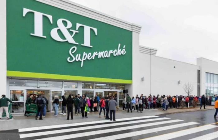 Mandarino, coreano, inglese… e un po’ di francese nei supermercati T&T e Loblaw