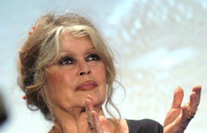 Sposata quattro volte, Brigitte Bardot racconta la sua vita sentimentale: “Non ho mai…”