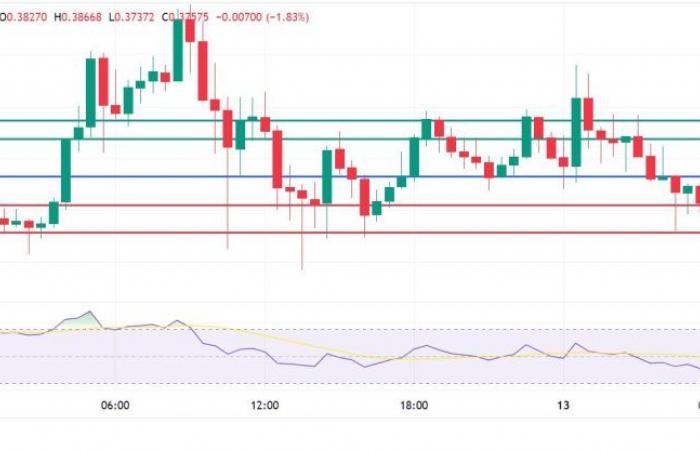 Dogecoin mette in pausa il trend rialzista mentre il mercato delle criptovalute segnala un ritiro. E dopo?