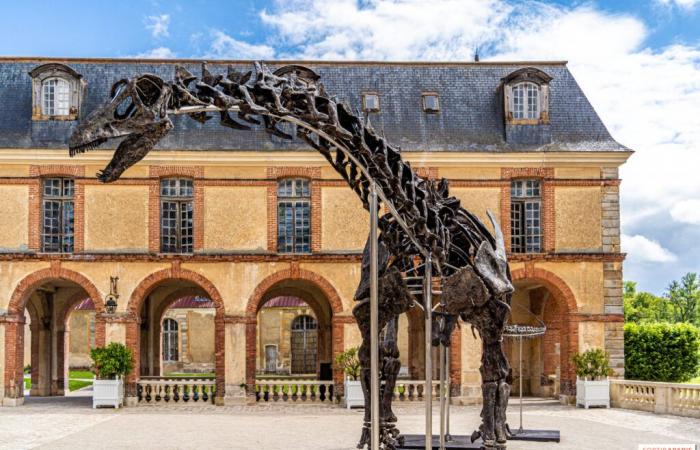 Vulcan, il più grande dinosauro venduto all’asta questo sabato 16 novembre a Dampierre-en-Yvelines