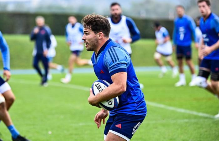 ecco la probabile composizione del XV di Francia contro gli All Blacks