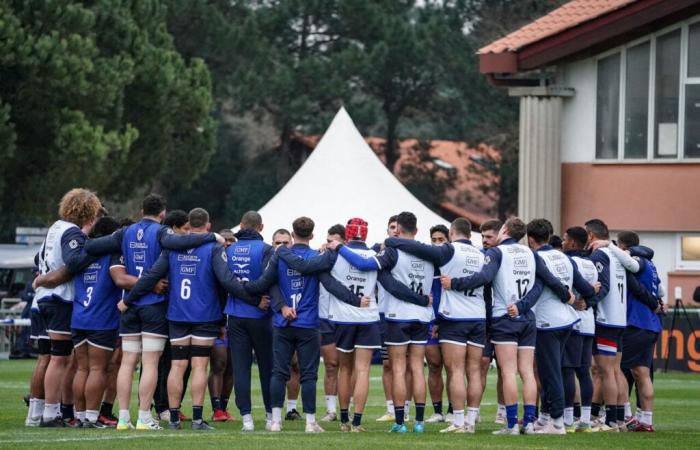 LIVE – Un giocatore del Tolosa è rimasto gravemente ferito durante l'allenamento del XV francese!