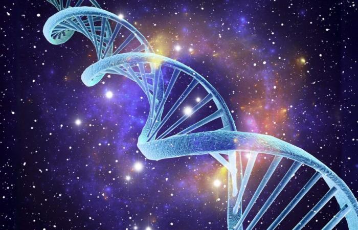 Gli scienziati ritengono che il “DNA dell'universo” sia una lacuna nella ricerca di Einstein per una teoria fisica unificata