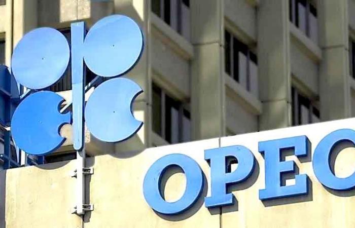 Nel rapporto mensile dell'OPEC: previsioni di crescita della domanda di petrolio in leggero calo