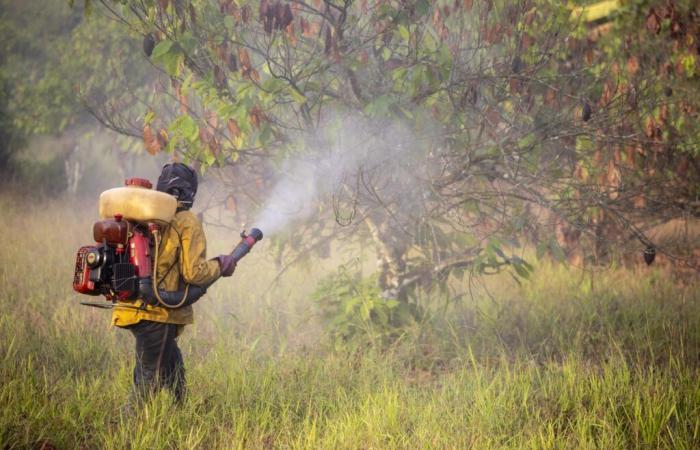 #toxexports: la Francia in tribunale