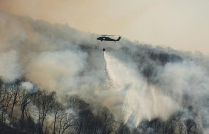 Più incendi, meno acqua: la regione di New York nella morsa di una grave siccità: notizie