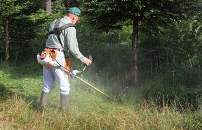 Quali 91 comuni sono interessati dal disboscamento nell'Aveyron?