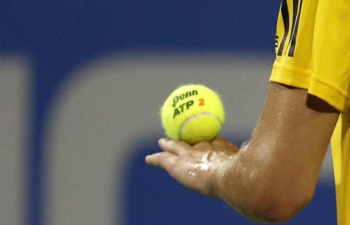 Quote delle finali Nitto ATP e anteprime delle partite del 13 novembre 2024, singolare maschile