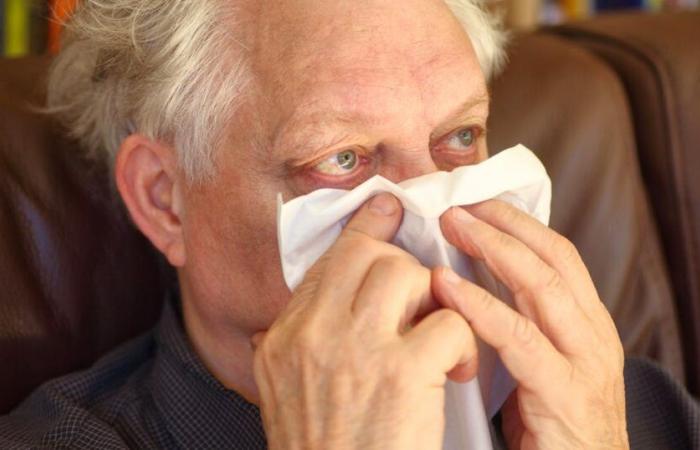 Rischio diffusione?: Una nuova influenza segnalata in Italia preoccupa gli esperti