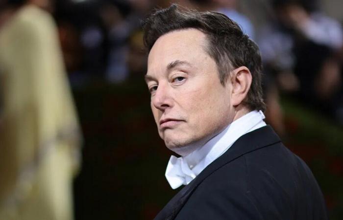 La posizione pro-Trump di Elon Musk spinge i progressisti a fuggire da X per raggiungere uno spazio sicuro e liberale