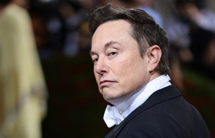 Elon Musk lavorerà bene con il governo Trump