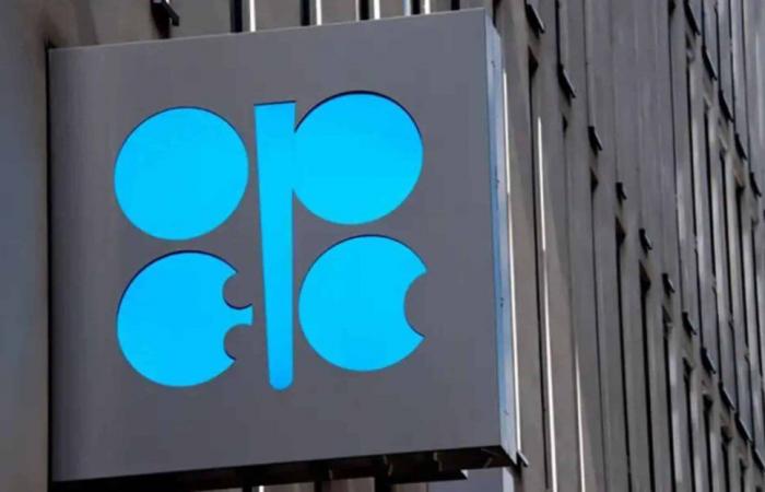 L’OPEC riduce le previsioni sulla domanda per il 2024 e il 2025, i prezzi continuano a pesare