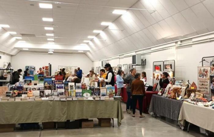 Roullet-Saint-Estèphe: il salone del libro e degli autori è decollato