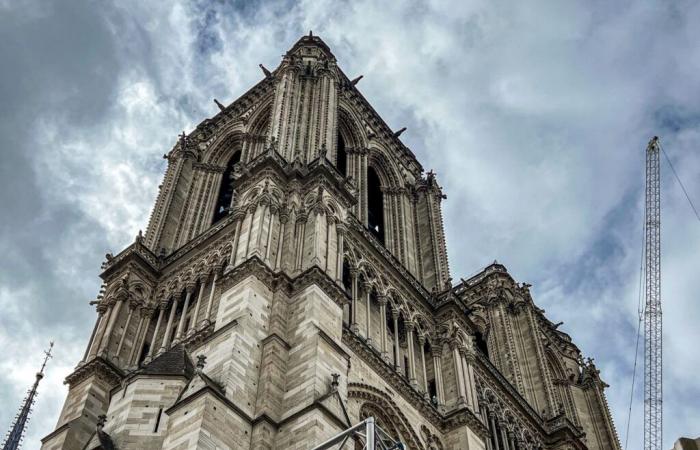 Riapertura di Notre-Dame de Paris: seguire la processione della statua della Vergine Maria, la data