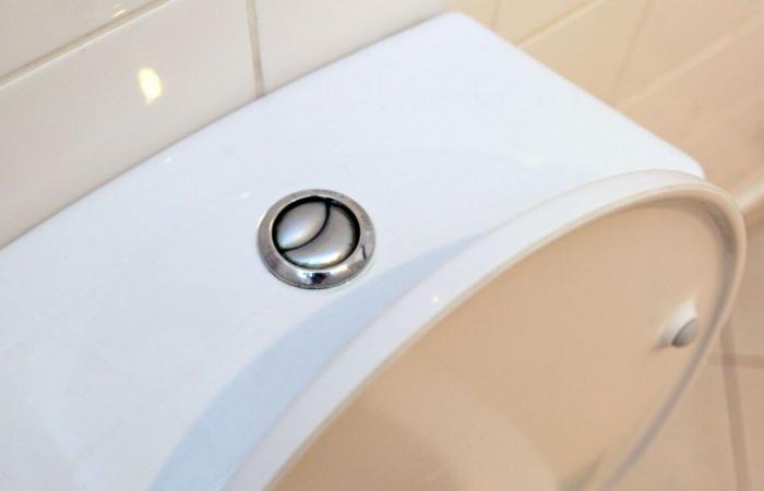 Scoperte due telecamere nei bagni a distanza di poche settimane l'una dall'altra