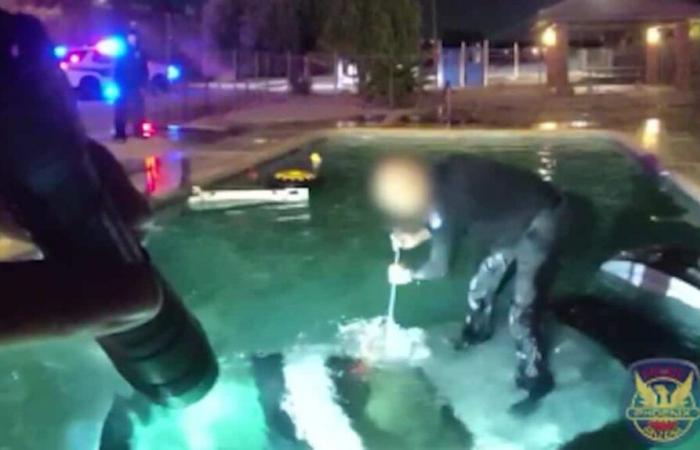 IN VIDEO | Soccorso in extremis: la polizia libera un conducente da un veicolo immerso in una piscina