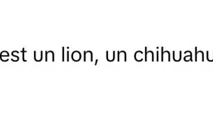 Christine Beaulieu ripercorre la saga di Tutti ne parlano e spiega cos’è un vero uomo forte