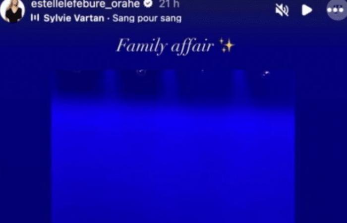 Sylvie Vartan: suo figlio David Hallyday arriva con la sua ex per sostenere la madre