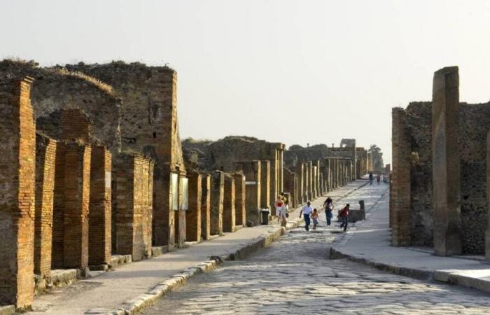 Pompei. Le analisi del DNA ribaltano le teorie sulle vittime dell’eruzione del Vesuvio