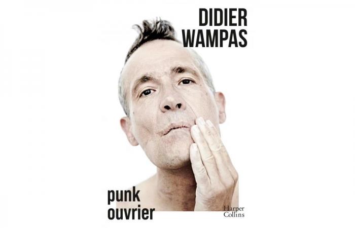 Didier Wampas, un working punk che apre • Le Suricate