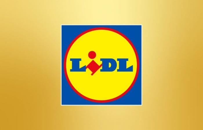 Una batteria esterna a questo prezzo? Solo Lidl può proporre un'offerta così folle