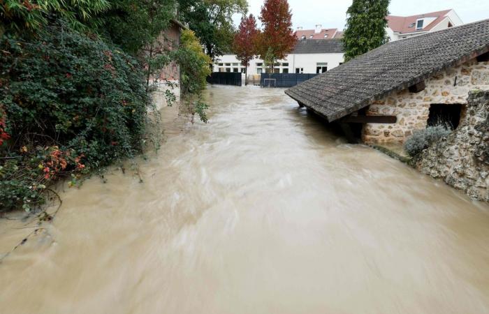 Danni alla casa di Raymond Devos, in Francia: lanciato un appello eccezionale per donazioni