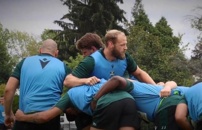 RUGBY. Terribile ricaduta dopo sole tre partite nella Top 14 per Mickaël Capelli (Pau)