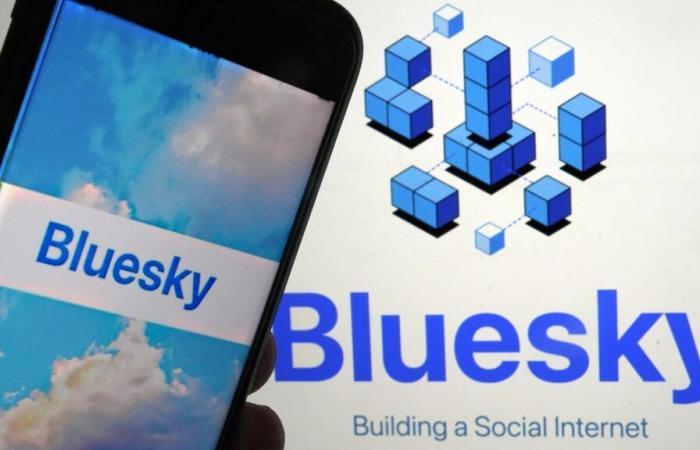 Bluesky guadagna 1 milione di nuovi utenti dopo le elezioni americane