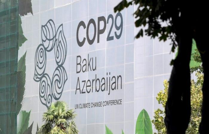 La presidenza della COP29 cerca di calmare gli animi con la Francia