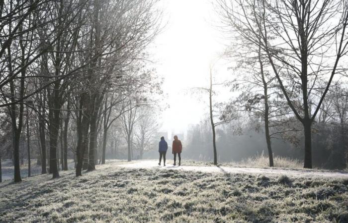 Differenze termiche: gelate da Sud-Ovest a Nord-Est all'alba, a Nizza attesi 18°C ​​nel pomeriggio