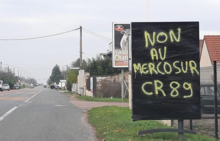 Crisi agricola: nell'Yonne molteplici mobilitazioni con sindacati divisi sui metodi