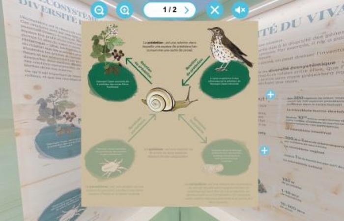 Una mostra virtuale per comprendere i legami tra clima e biodiversità