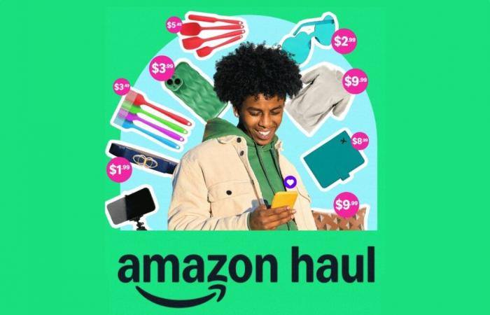 Amazon lancia “Haul”, la sua applicazione che taglia i prezzi nei confronti di Temu e Shein