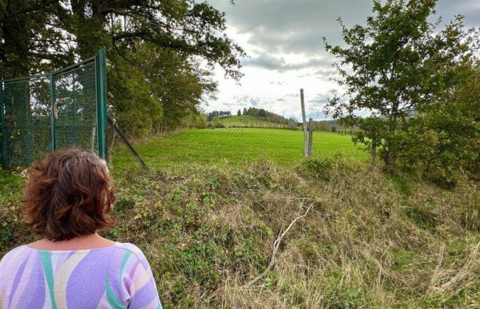 “Farà terremoti”: gli abitanti di Puy-de-Dôme si oppongono al progetto di una centrale geotermica