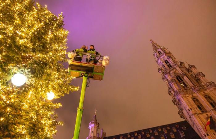 Elefanti sull’albero, vino rosato del Var, cactus giganti, new street e 2CV di De Funès: 5 cose da sapere sul divertimento invernale 2024 a Bruxelles