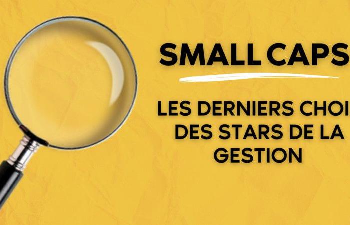 Small Caps – Le ultime scelte delle star del management