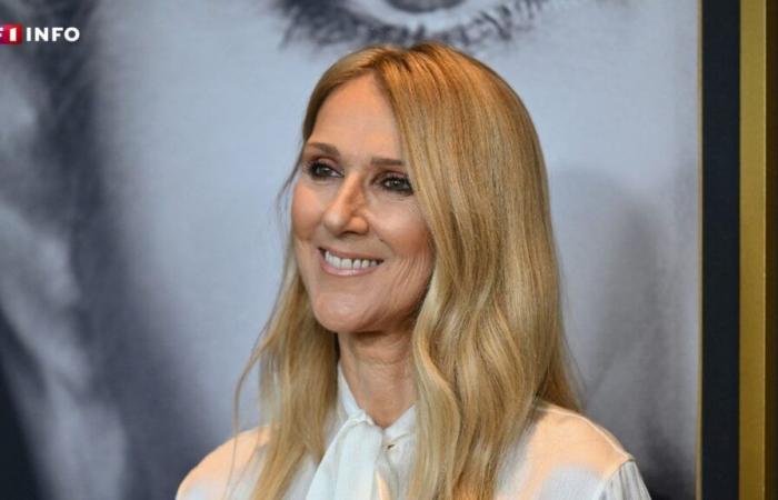 Celine Dion torna sul palco: il suo concerto a sorpresa alla sfilata di Elie Saab in Arabia Saudita