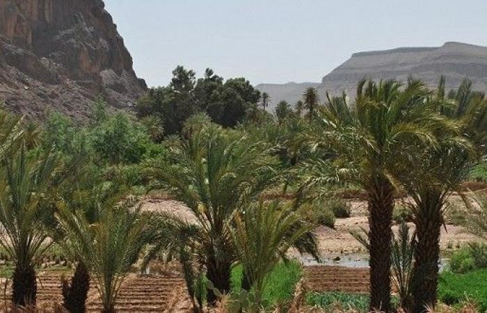 Akhannouch ha evidenziato l’esperienza del Regno nell’adattamento ai cambiamenti climatici – AgriMaroc.ma