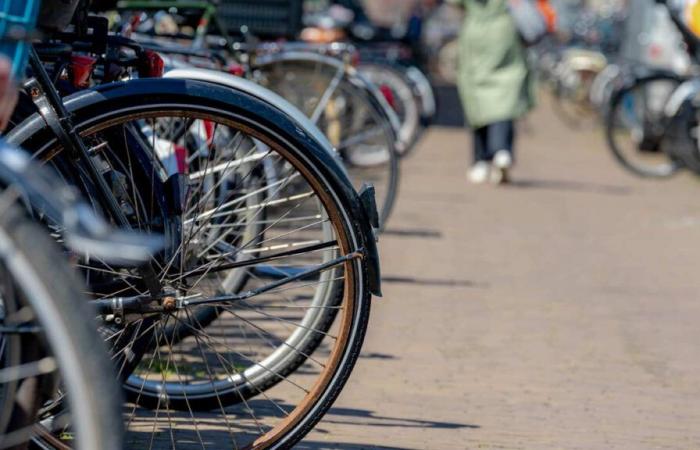 Sviluppo della bicicletta: Val-d'Oise, in testa nelle grandi periferie