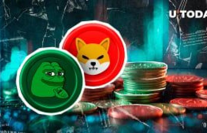 Litecoin (LTC) esce come Meme Coin, il prezzo impazzisce: dettagli