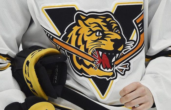 Nuove regole in NCAA: torna a casa la settima scelta assoluta dell’ultimo draft del QMJHL