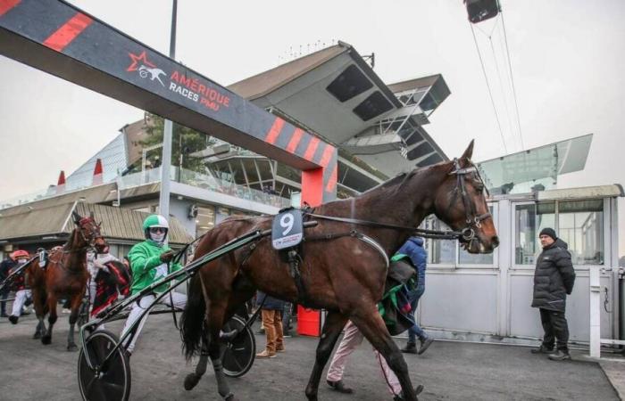 TROTTO. Il Prix de Bretagne, l'altra elezione americana